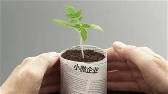 一个小微企业主的自述：我是如何为员工和企业续航的